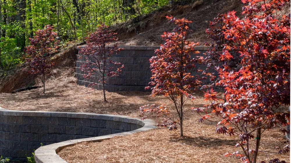 Expert outdoor landscaping experts serving Knoxville, TN - Southern Shade Landscaping