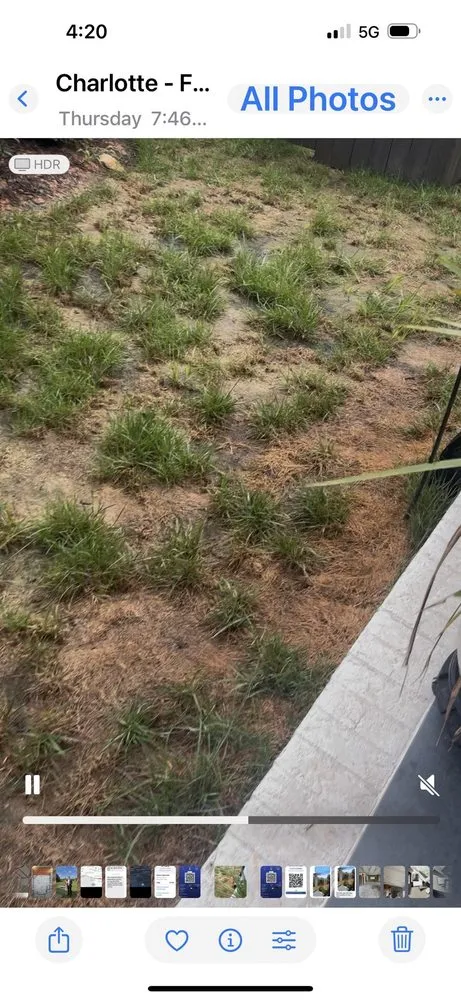 Top-rated garden landscaping in Fort Mill, SC by Southern Shade Tree