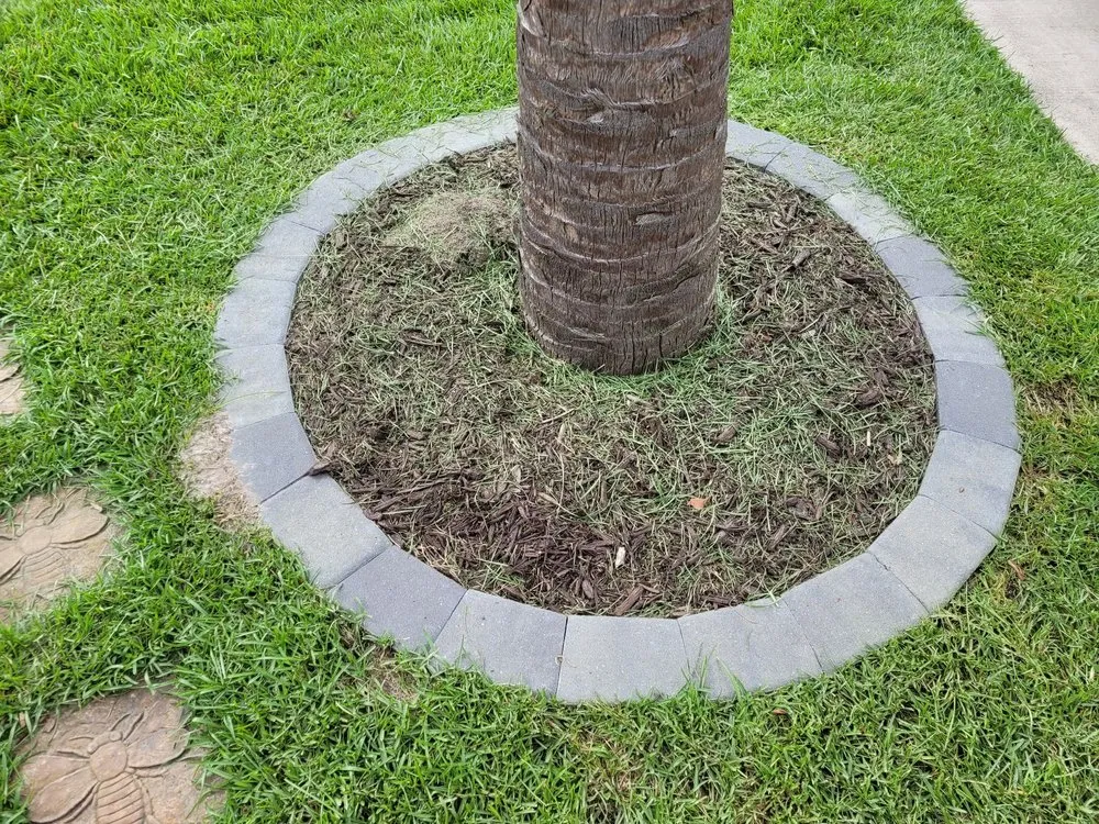 Local yard maintenance for homes in Fort Mill, SC by Southern Shade Tree