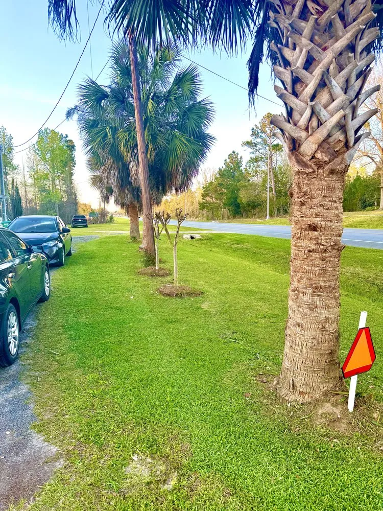 Affordable residential landscaping in Blountstown, FL - Southern Sharp