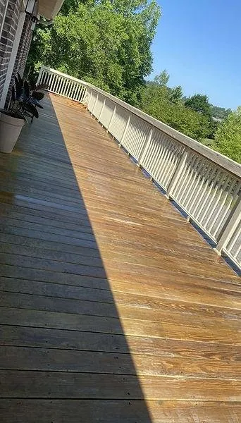 Custom lawn care service experts serving Kingsport, TN - Southern Solutions