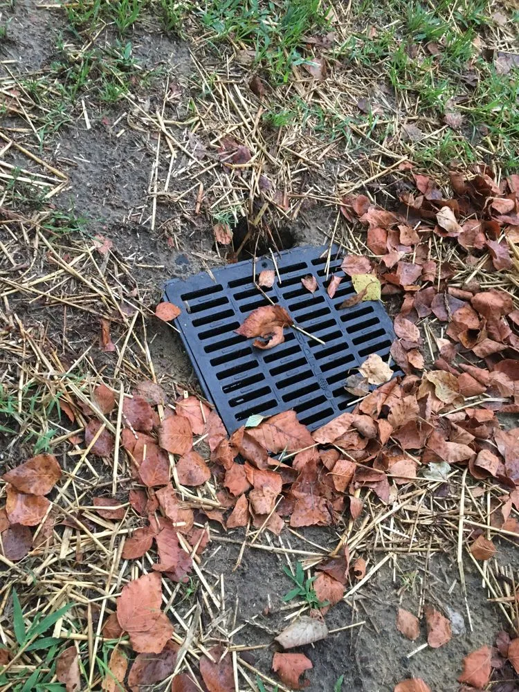 Reliable yard cleanup service in Fuquay Varina, NC by Southern Solutions Landscaping