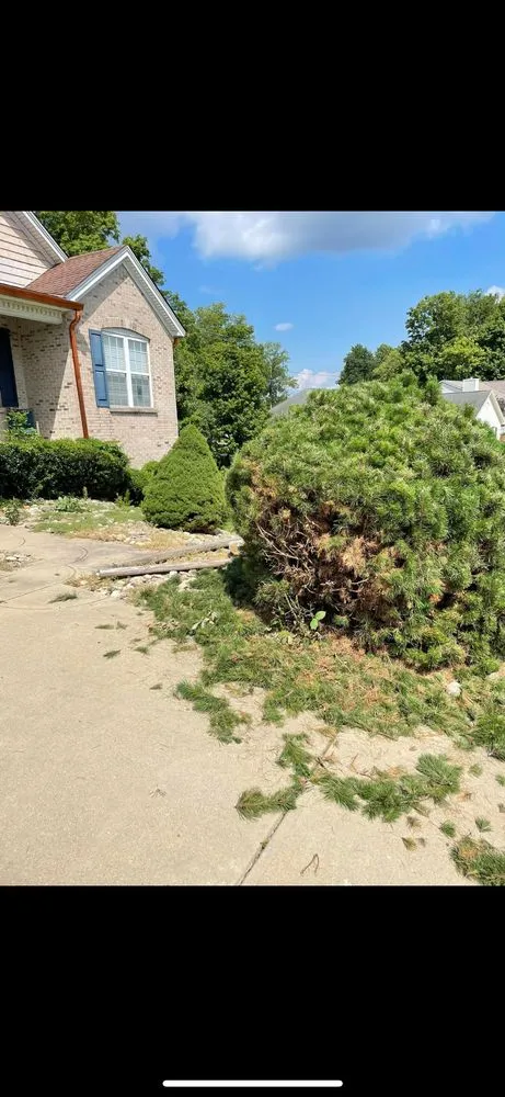 Affordable lawn care service experts serving Osgood, IN - Southern Solutions