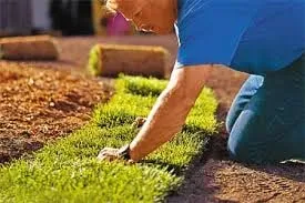 Trusted lawn care service experts serving Arlington, TX - Southern Son's Landscape Management LLC.