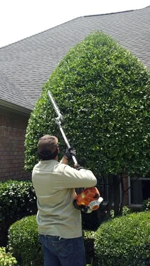 Reliable yard cleanup service for year-round maintenance across Arlington, TX - Southern Son's Landscape Management LLC.