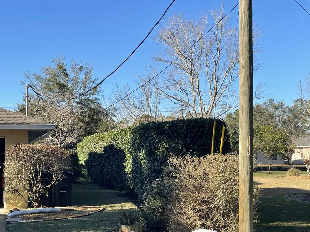 Expert lawn mowing service in Florahome, FL by Southern Sons Lawn Care