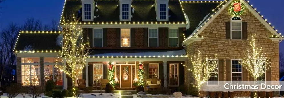 Top-rated yard cleanup service experts serving Nashville, TN - Southern Spray