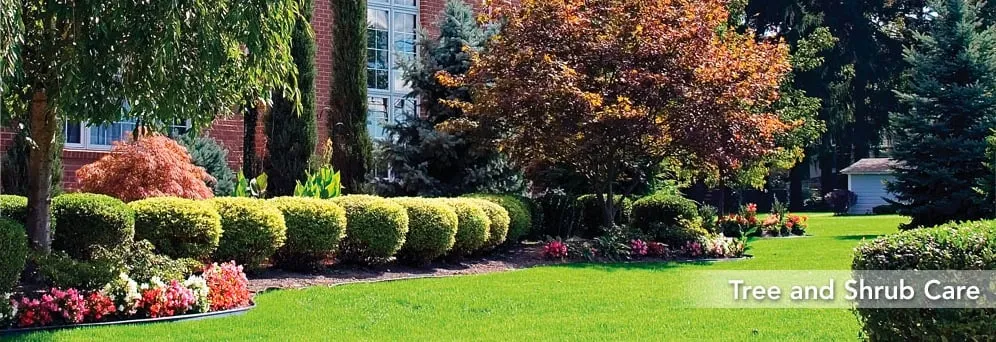 Expert landscape installation in Nashville, TN - Southern Spray