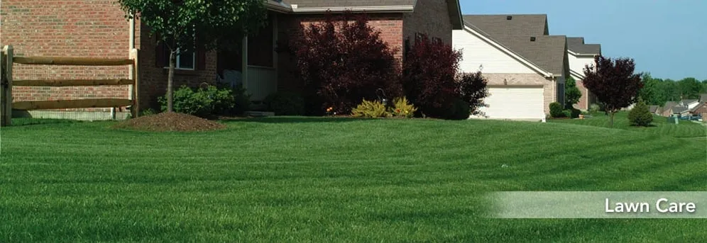 Trusted lawn mowing service in Nashville, TN by Southern Spray