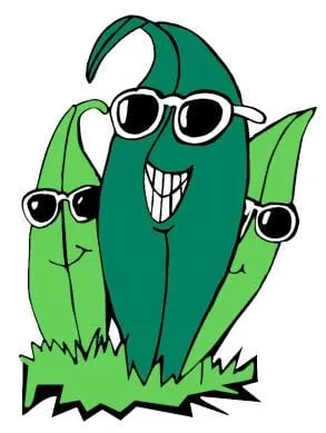 Professional landscape installation in Nashville, TN - Southern Spray