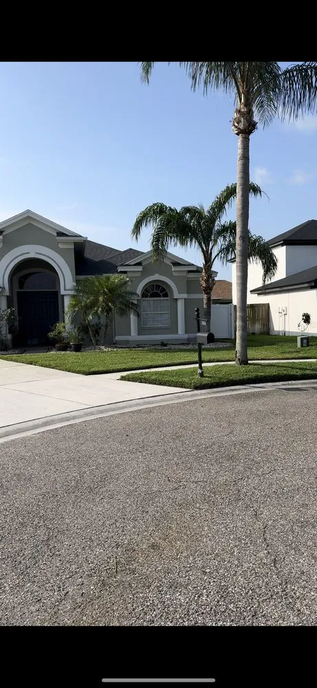 Local yard cleanup service in New Port Richey, FL by Southern Standard Lawn Care