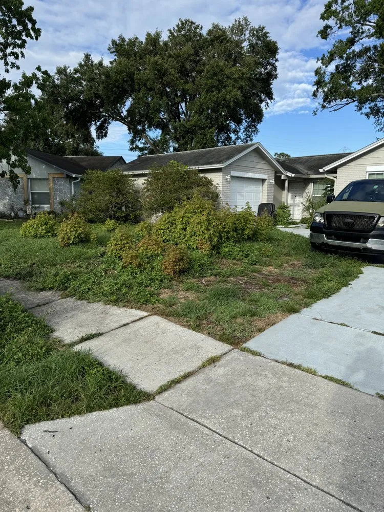 Professional landscaping services in New Port Richey, FL by Southern Standard Lawn Care