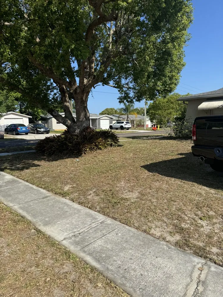 Reliable lawn mowing service with custom design across New Port Richey, FL - Southern Standard Lawn Care