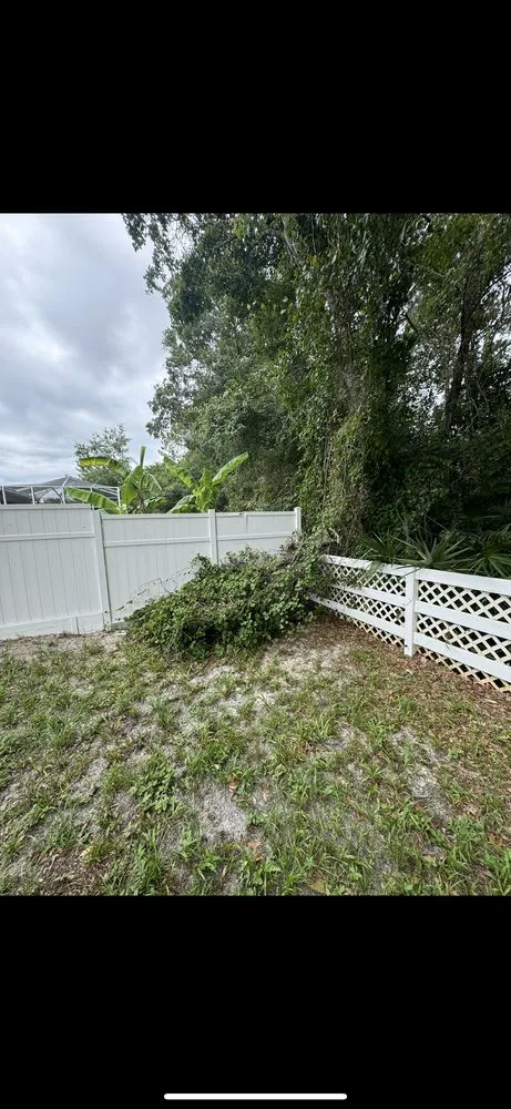 Trusted yard cleanup service for year-round maintenance in New Port Richey, FL by Southern Standard Lawn Care