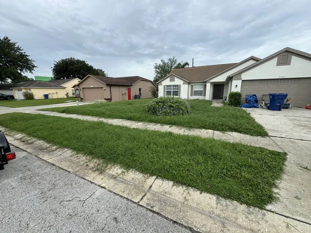 Professional yard cleanup service in New Port Richey, FL by Southern Standard Lawn Care