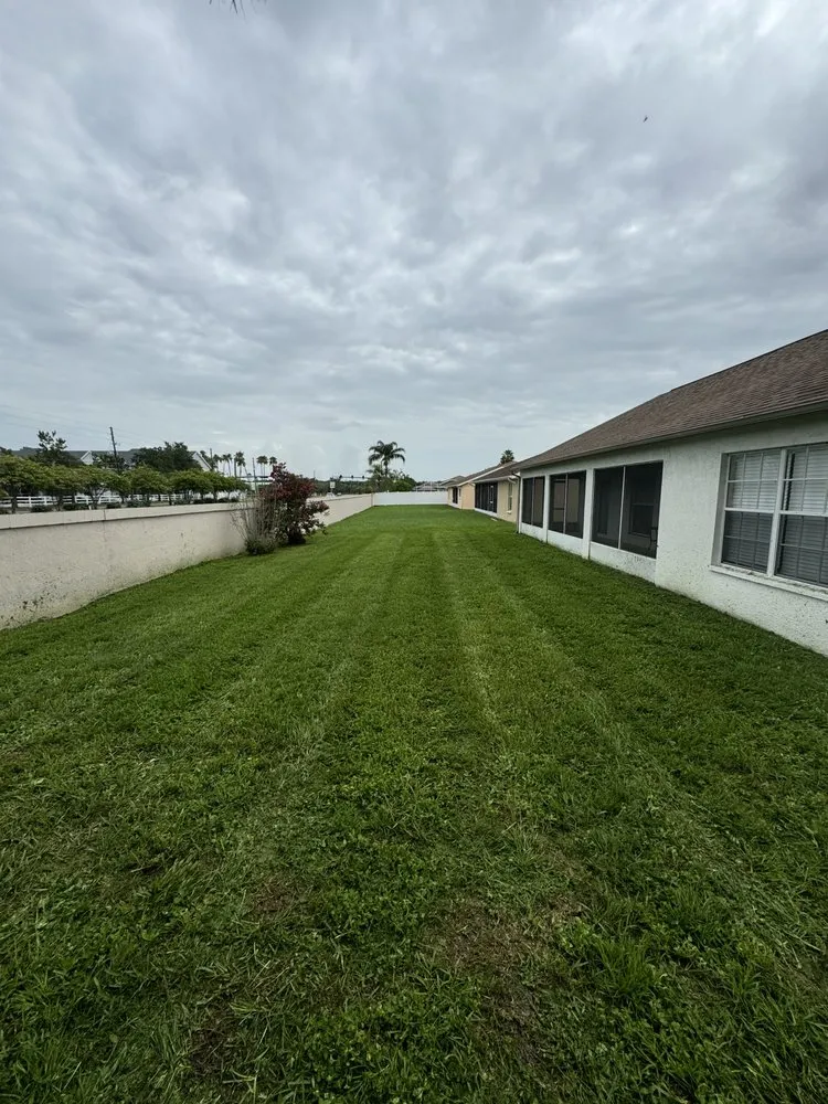 Custom yard cleanup service for year-round maintenance across New Port Richey, FL - Southern Standard Lawn Care