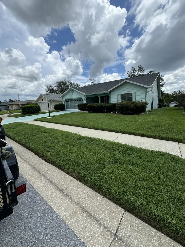 Local yard cleanup service with custom design in New Port Richey, FL by Southern Standard Lawn Care