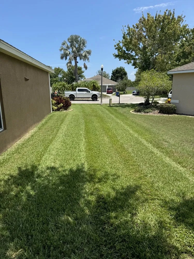 Trusted residential landscaping in New Port Richey, FL - Southern Standard Lawn Care