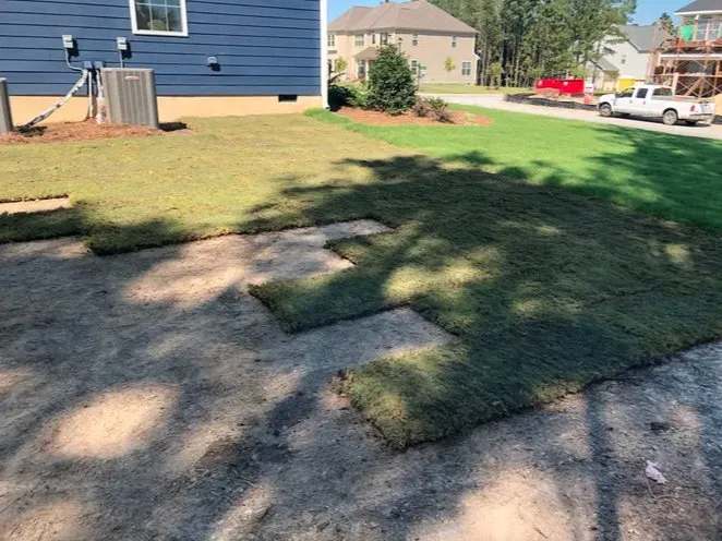 Custom yard cleanup service in Willow Spring, NC - Southern State Landscape