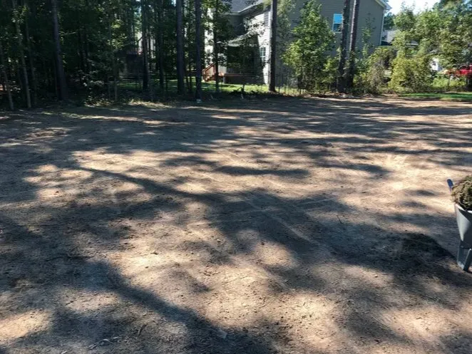 Reliable yard cleanup service in Willow Spring, NC - Southern State Landscape