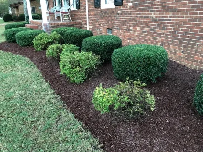 Professional outdoor landscaping with custom design across Willow Spring, NC - Southern State Landscape