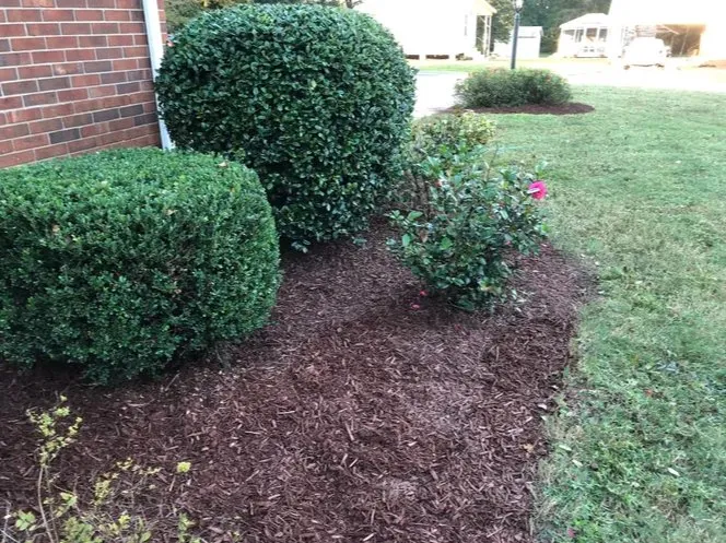 Affordable landscaping services experts serving Willow Spring, NC - Southern State Landscape