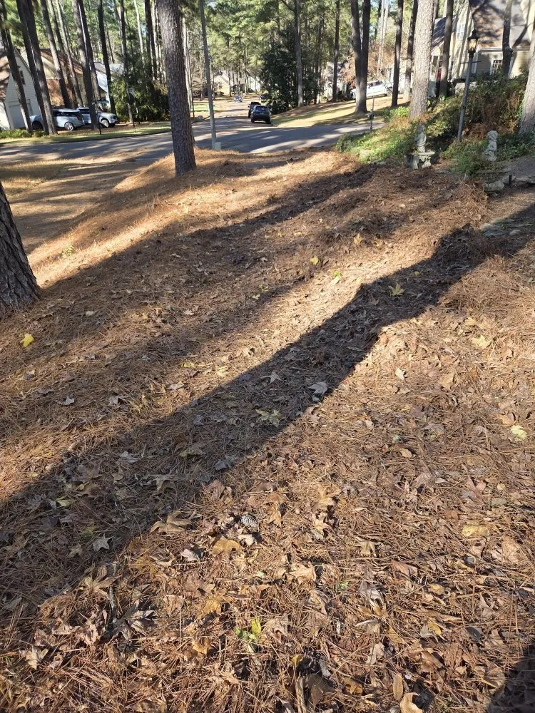 Local outdoor landscaping experts serving Hernando, MS - Southern Steward Property Care