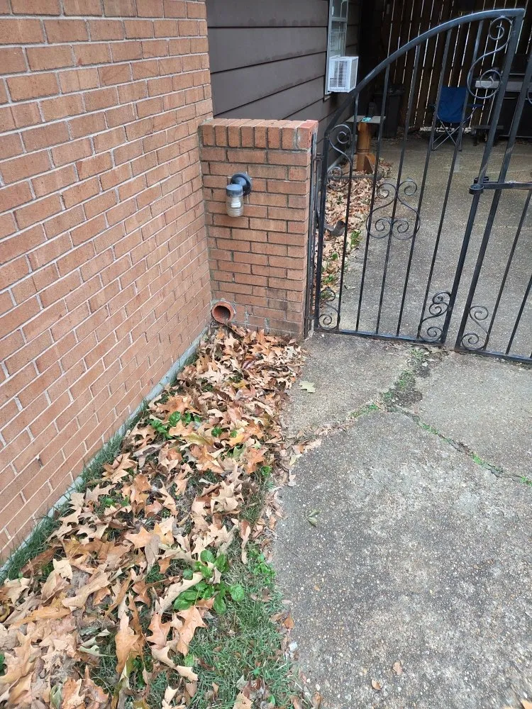 Custom yard cleanup service in Hernando, MS - Southern Steward Property Care