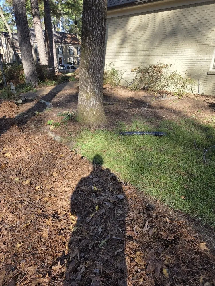 Affordable outdoor landscaping with custom design across Hernando, MS - Southern Steward Property Care