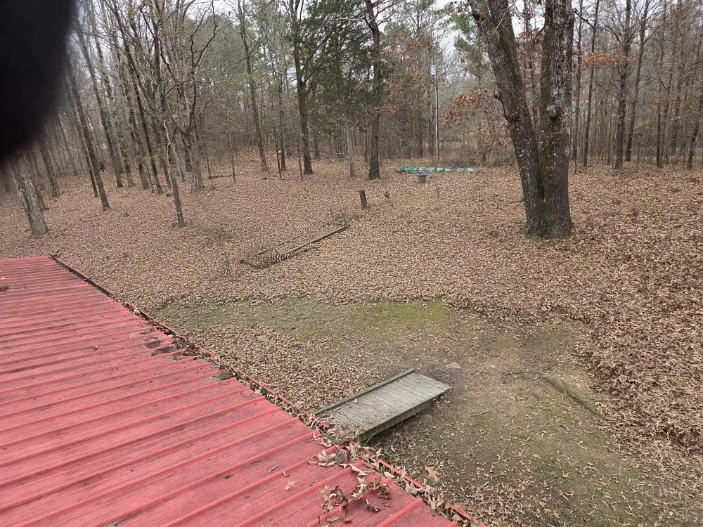 Custom yard cleanup service near you in Hernando, MS by Southern Steward Property Care