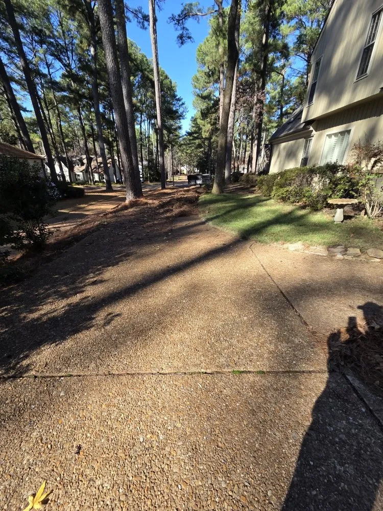 Trusted yard cleanup service experts serving Hernando, MS - Southern Steward Property Care