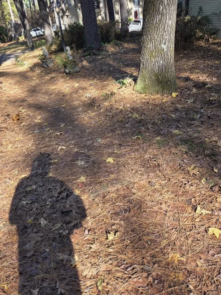 Affordable garden landscaping in Hernando, MS - Southern Steward Property Care