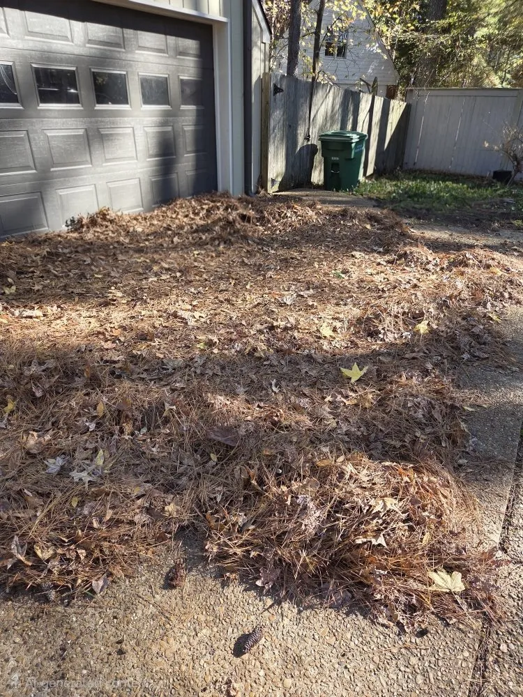 Professional yard maintenance experts serving Hernando, MS - Southern Steward Property Care