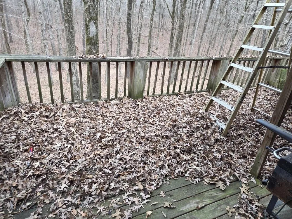 Professional yard cleanup service for residential properties in Hernando, MS by Southern Steward Property Care