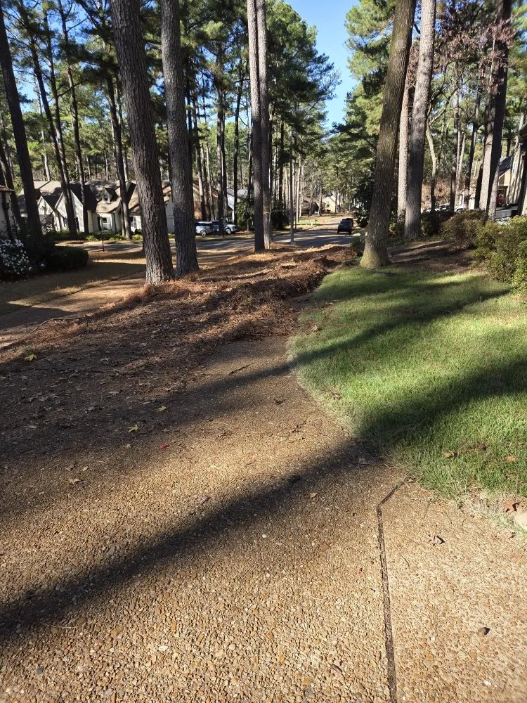 Top-rated yard maintenance in Hernando, MS by Southern Steward Property Care