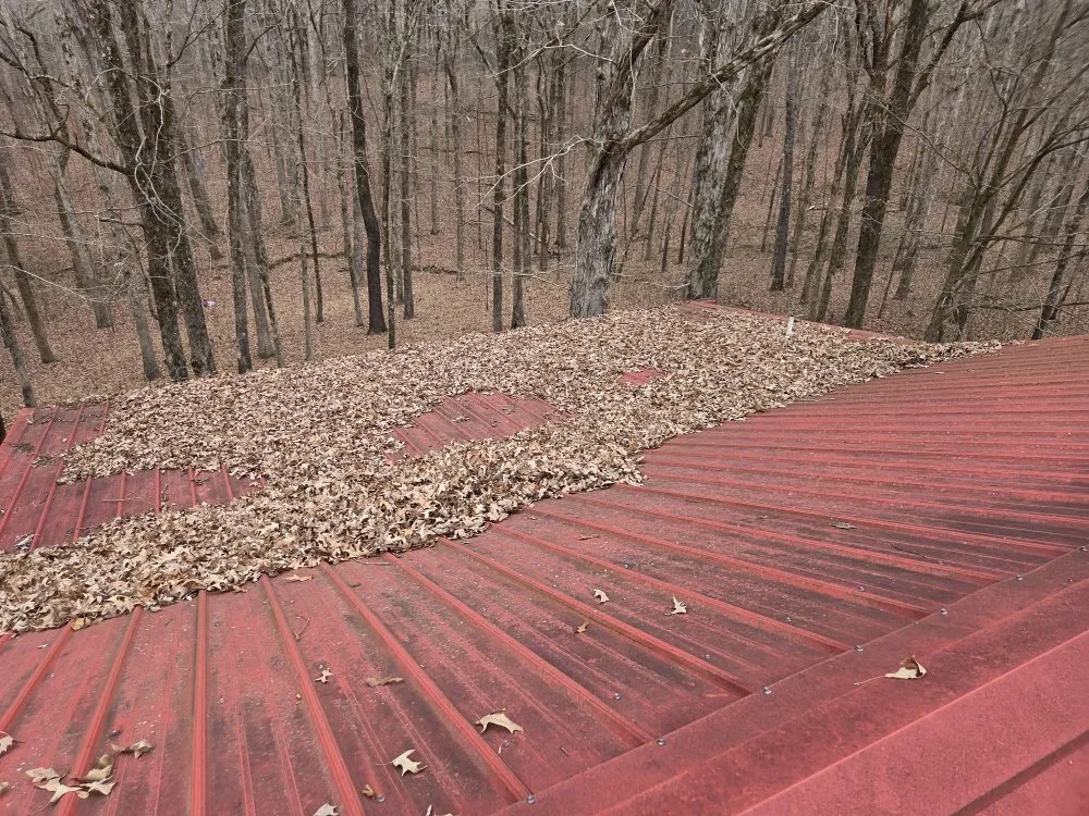 Local landscape installation experts serving Hernando, MS - Southern Steward Property Care