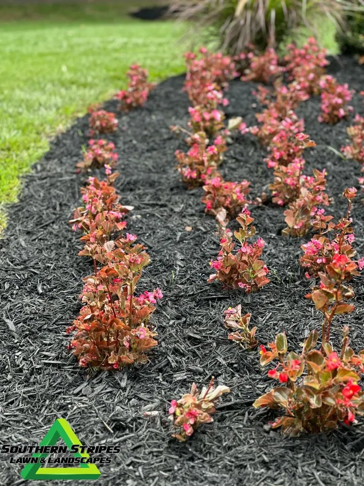 Affordable yard maintenance in Simpsonville, SC - Southern Stripes Lawn & Landscapes