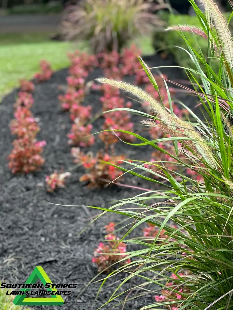 Affordable yard maintenance near you in Simpsonville, SC by Southern Stripes Lawn & Landscapes