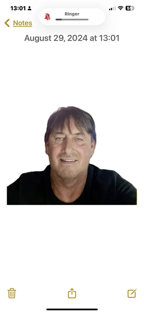 Local lawn care service experts serving Clearwater, FL - Southern Stump Grinders