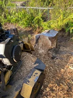 Southern Stumps Logo