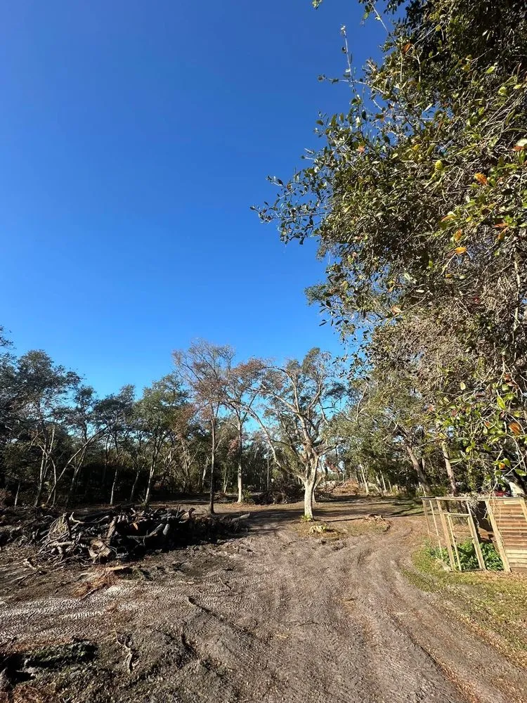 Local lawn mowing service near you across Zephyrhills, FL - Southern Style Land Development