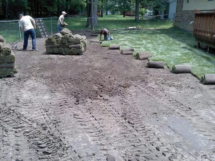 Trusted yard maintenance experts serving Zephyrhills, FL - Southern Style Land Development