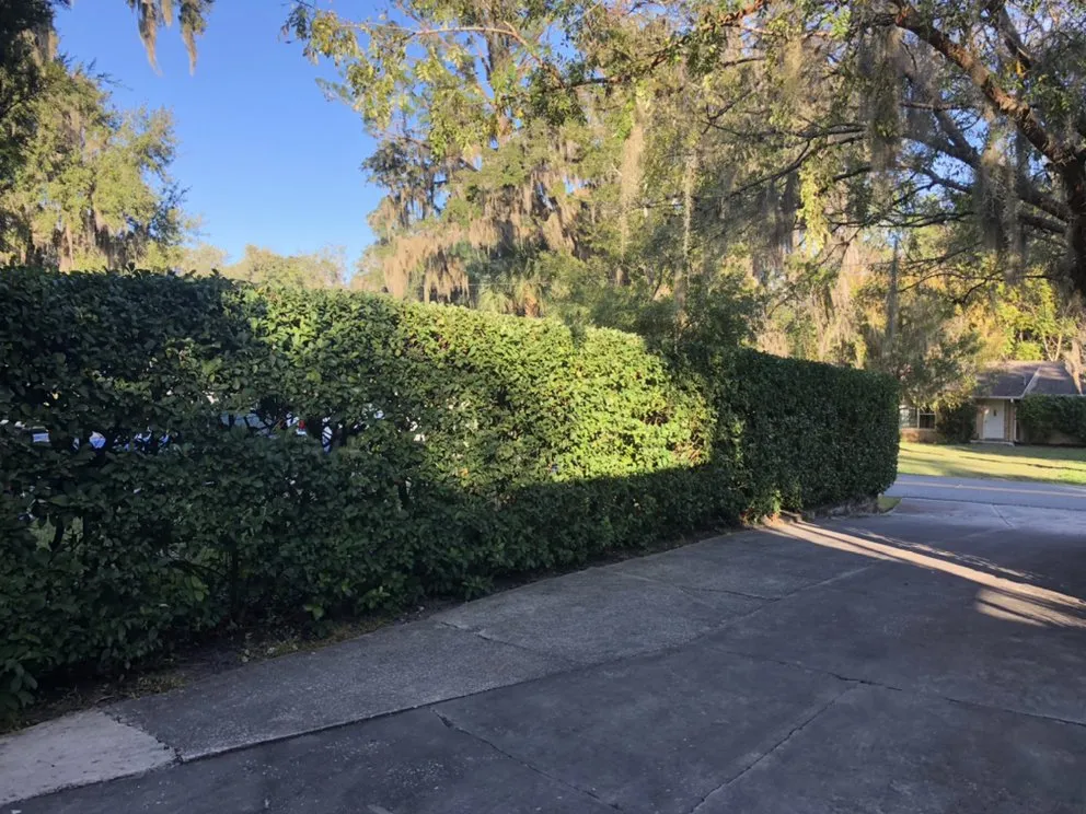 Local lawn care service near you in Dunnellon, FL by Southern Style Landscape and Lawn Care