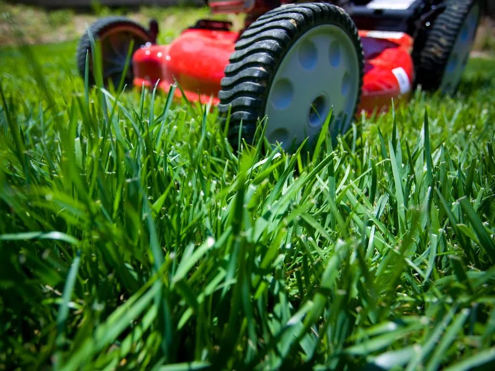 Reliable garden landscaping for residential properties in Hubert, NC by Southern Style Landscaping