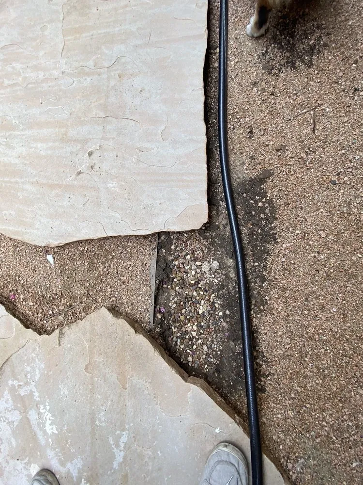 Local yard maintenance for year-round maintenance across San Antonio, TX - Southern Style Lawn & Landscaping