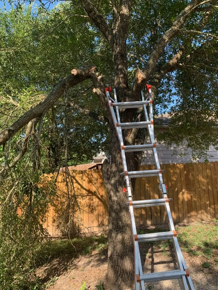 Local lawn mowing service experts serving San Antonio, TX - Southern Style Lawn & Landscaping