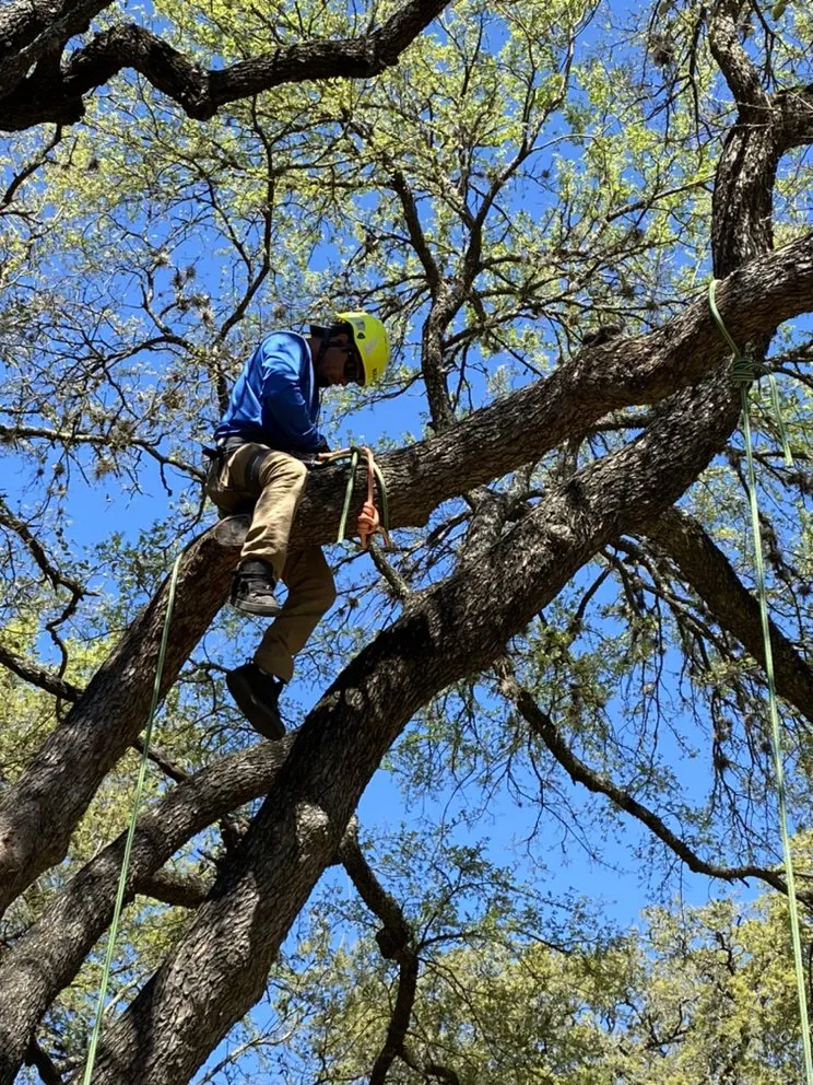 Custom landscape design in San Antonio, TX - Southern Style Lawn & Landscaping