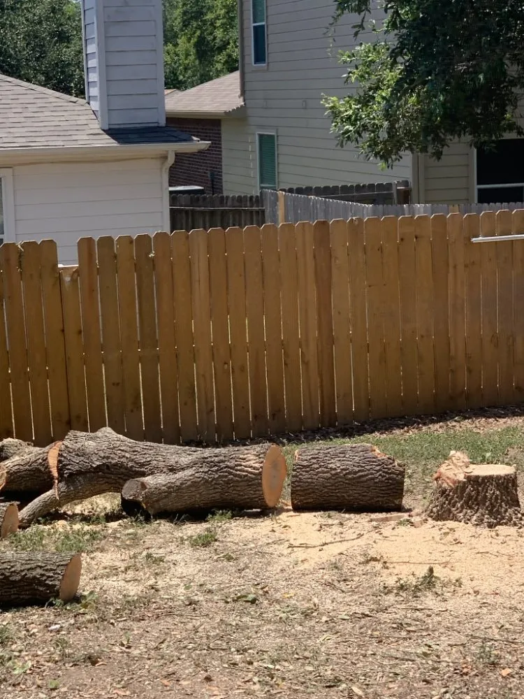 Trusted yard cleanup service in San Antonio, TX by Southern Style Lawn & Landscaping