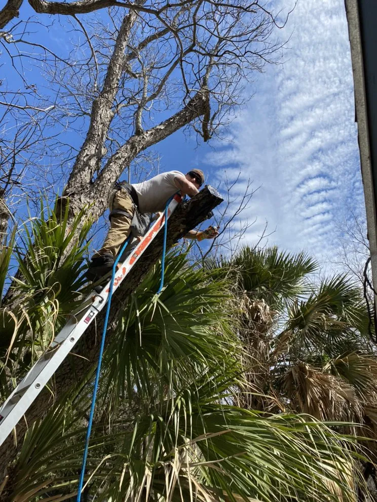 Custom yard maintenance for outdoor upgrades across San Antonio, TX - Southern Style Lawn & Landscaping