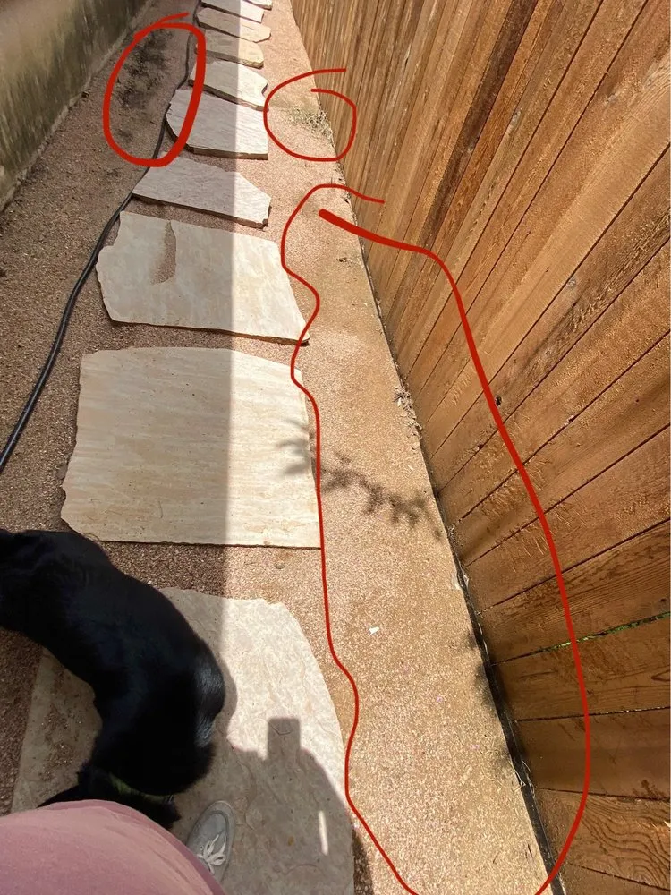 Reliable lawn care service near you in San Antonio, TX by Southern Style Lawn & Landscaping